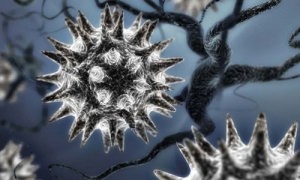 Влияние вирусов и бактерий